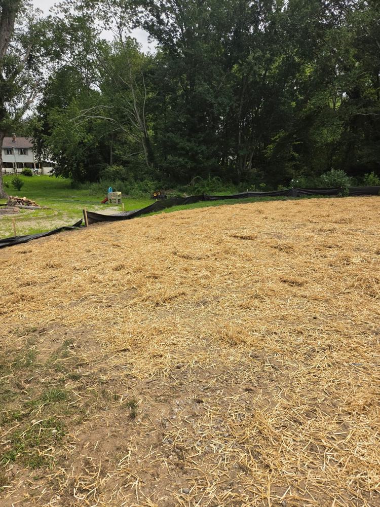 Site seeded and mulched with straw